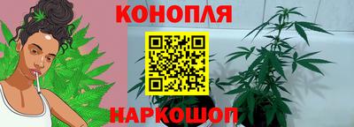 сатива Нальчик