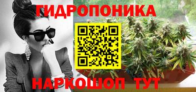 сатива Нальчик
