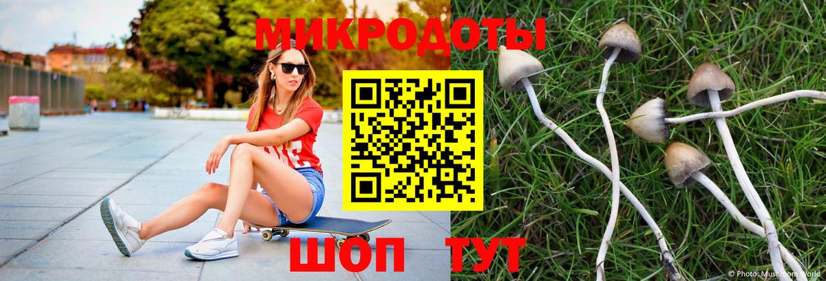 Псилоцибиновые грибы мухоморы  Галлюциногенные грибы мицелий  Гагарин  купить наркотики сайты  Вход с VPN 